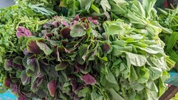 A pile of red spinach among a pile of green leafy vegetables in the market
