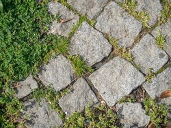 Grass sprouting between stone tiles. Urban environment. Asphalt pattern Nature against the city