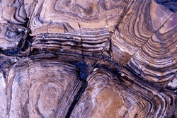 Unusual rock formations at Bulli Beach