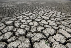 severe drought caused lake to dry and cracks in lake bed