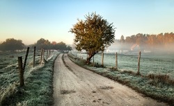 frosty morning in the countryside, road between fields, frost on grass and fance, tree by the road, blue sky