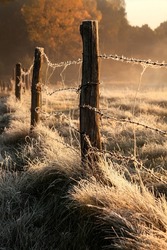 frost on grass, frost on fence, taken in the morning whilst walking on the countryside road to the meadow  on an autumnal cold morning