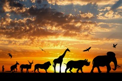 Silhouettes of animals on golden cloudy sunset background
