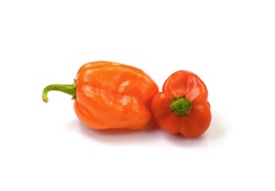 Habanero chilis isolated on white background. Fresh ripe Caribbean Red Habanero hot chili pepper with green stem. 