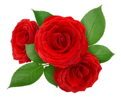 Flower arrangement made with roses isolated on a white. Clip art image for design.