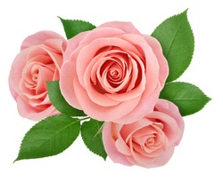 Flower arrangement made with roses isolated on a white background with clipping path.