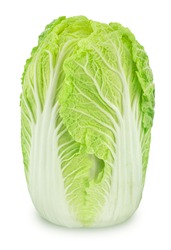 Fresh whole chinese cabbage isolated on a white background.