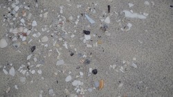various marine plastics amongst a collection of broken shells on the beach