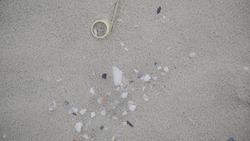 various marine plastics amongst a collection of broken shells on the beach