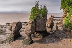 Hopewell rocks at low tide, almost 25 feet lower than high tide at Hopewell Cape in Canada