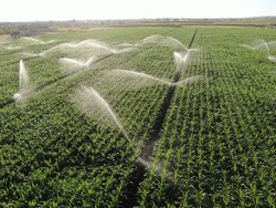 Aerial photo from sprinkler irrigation drone