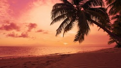 Red dawn on palm isle beach. Seascape dawn over sea. Orange clouds in red sky Sun dawn on palms beach background. Atlantic ocean nature landscape. Dominican Republic beach sun dawn. Sea shore seascape