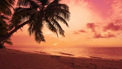 Summer sun sundown on palms beach coast seascape. The best sunset in the world. Atlantic Ocean palm trees beach sundown sea. Sky and waves of Caribbean sea. Amazing summer nature sundown background. 