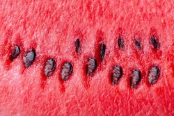 Freshly cut red sweet watermelon close-up. Fresh summer fruit abstract background.
