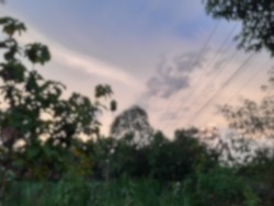 Gaussian blur and defocused afternoon sky view with trees
