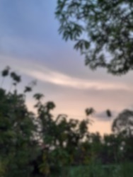 gaussian blur and defocused sunset sky view and tree framing