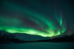 aurora borealis northern lights forest and mountains