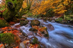 Redes forest in Asturias, Spain.Bright waterscape of fast rocky river. Autumn scenery