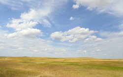 The Grasslands of the Great Plains in South Dakota