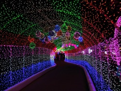 Light tunnel, Christmas decoration, the tunnel of rainbow LED lights, Rainbow color lighting on walkway stairs, Christmas celebration 