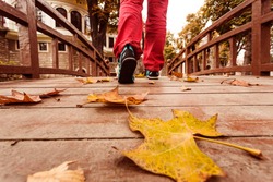 Feet of Person in sporty Shoes and red casual Pants walking on old wooden Bridge covered by autumnal Leaves