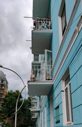Husky dog is waiting for its owner on a white balcony in a turquoise house