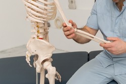 Doctor man pointing on arm of human skeleton anatomical model. Physiotherapist explaining joints model. Chiropractor or osteopath points to the skeleton of human body. Bones anatomy close up.