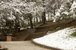 Forest, snowing, stairs, falling snowflakes, snowstorm, storm, trees in park