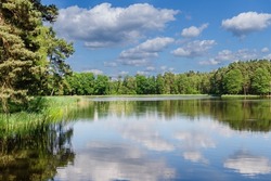 The lake is located in the forest. The banks are covered with grass in the background, tall coniferous and deciduous trees. The tree is slightly cloudy. It's a sunny summer day.