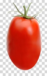 San Marzano, plum or Roma tomato  isolated on transparent background including clipping path.