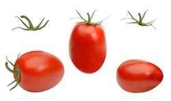 San Marzano, plum or Roma tomato  isolated on white background for graphic design. Clipping path included.