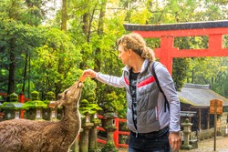 Young male tourist feeds with deer biscuit at Nara wild deer in a public park of Nara, Japan. Red Torii and stone lanterns on background. Tourism and travel concept. Spring rain day.