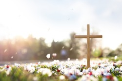 Cross symbolizing the death and resurrection of Jesus Christ, spring flowers, falling petals and bright sunlight
