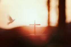The bright sun and the sunset forest white dove and the holy cross of Jesus Christ symbolize death and resurrection.