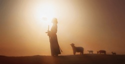 Shepherd Jesus Christ leading the sheep and praying to God and in the field bright sun light and Jesus bokeh silhouette background
