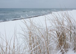 View through dry snow-covered grass to the beach covered with snow and small blue waves. A calm gloomy winter day on the Baltic Sea coast