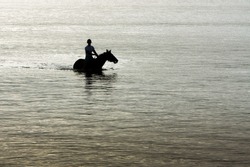 Lone female horse rider silhouette in the ocean