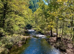 Creek in Cisco, Georgia, USA