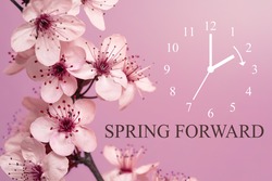 Spring Forward / Daylight Saving Time Begins / Mauve Background