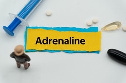 Adrenaline.The word is written on a slip of colored paper. health terms, health care words, medical terminology. wellness Buzzwords. disease acronyms.