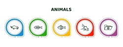 editable thin line icons with infographic template. infographic for animals concept. included coelodonta, fish bone, carp, fishes in the ocean, medic folder icons.
