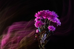 woman hand hold pink chrysanthemums with double exposure, are is not in focus. concept of sadness, lost, ended love, dark moody macro shots, fantasy motion effect, long exposure, motion blur.