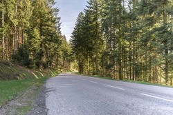 Deserted road in a fir forest of the Vosges in France. Forest atmosphere and full of nature in a quiet area and far from the world.