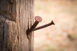 Rusty nail in wood