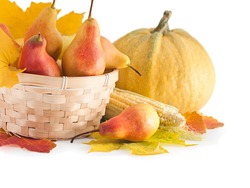 Autumn fruits and vegetables in a basket. The harvest season