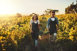 They grow their own. Shot of a young man and woman holding a crate full of freshly picked produce on a farm.