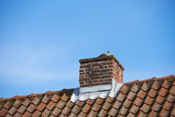 Bird sitting to nest on red brick chimney on slate roof of house building outside against blue sky background. Construction of exterior escape chute built on rooftop for fireplace smoke and heat