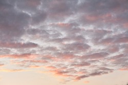Copy space of altocumulus clouds in a moody sky at twilight. Scenic panoramic of a dramatic cloudscape and thunderous background at sunrise or sunset. Climate of gloomy dark weather at dawn outdoors