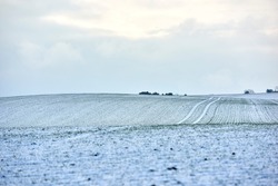 Countryside landscape on a cold winter day with cloudy sky background and copy space. Nature landscape of a farm field, meadows or grass land covered in white snow on a bright overcast morning
