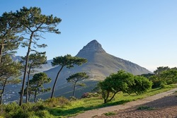 Beautiful view of Lions Head mountain surrounded by green trees on clear blue sky background with copy space. Nature landscape of mountains with spring field hills, flowers and plants